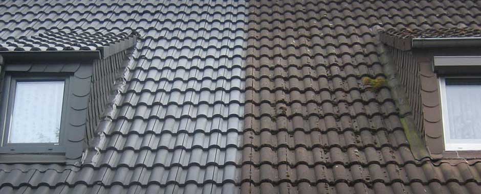 Dachbeschichtung/Dachreinigung/Dachsanierung